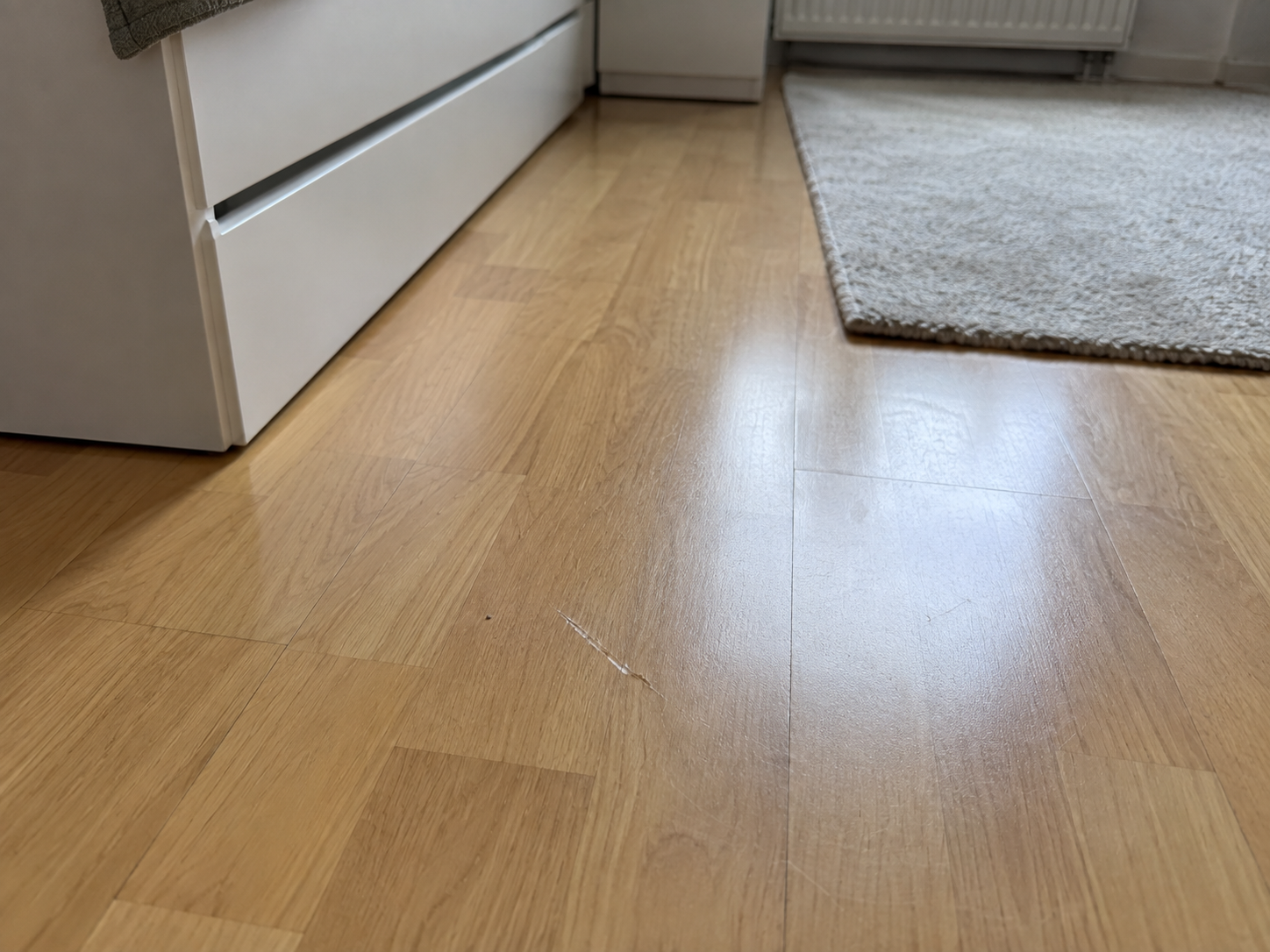 Beispielaufnahme: Wohn-/Schlafraum · Boden / Laminat
