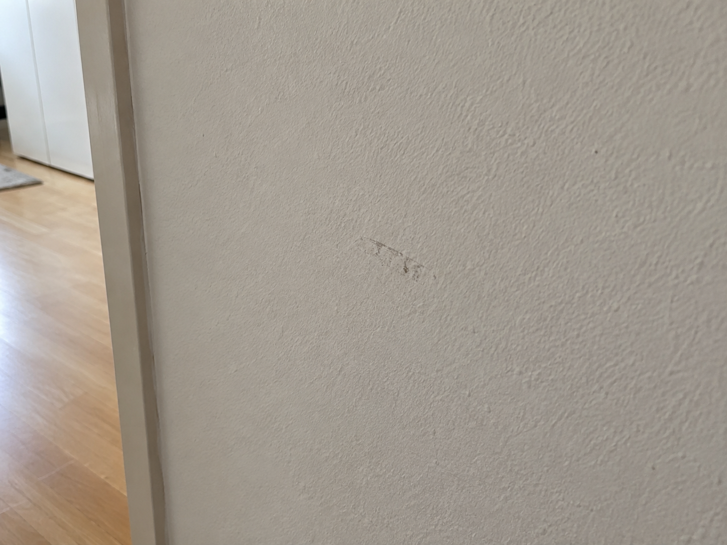 Beispielaufnahme: Wohn-/Schlafraum · Wand / Anstrich